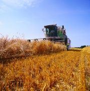 Moisson