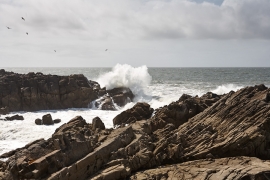 Tempête