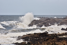 Tempête