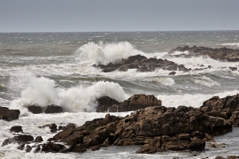 Tempête