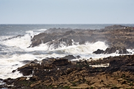 Tempête