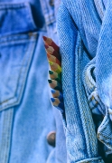 Jean au crayons de couleur