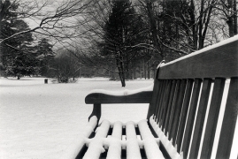 Le banc enneigé, Rueil-Malmaison, parc de la Malmaison