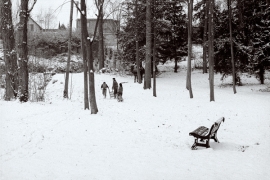 Jeux d'hiver