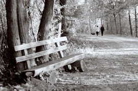 Un dimanche tranquille en famille, Rueil-Malmaison