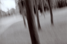 Poursuite dans le parc de la Malmaison, Rueil-Malmaison