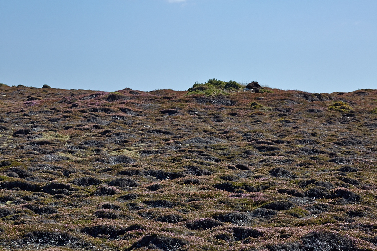 Mineral forms blend with the play of light and shadow. On Ouessant, stone becomes sculpture, and each moment reveals a new face of the landscape.