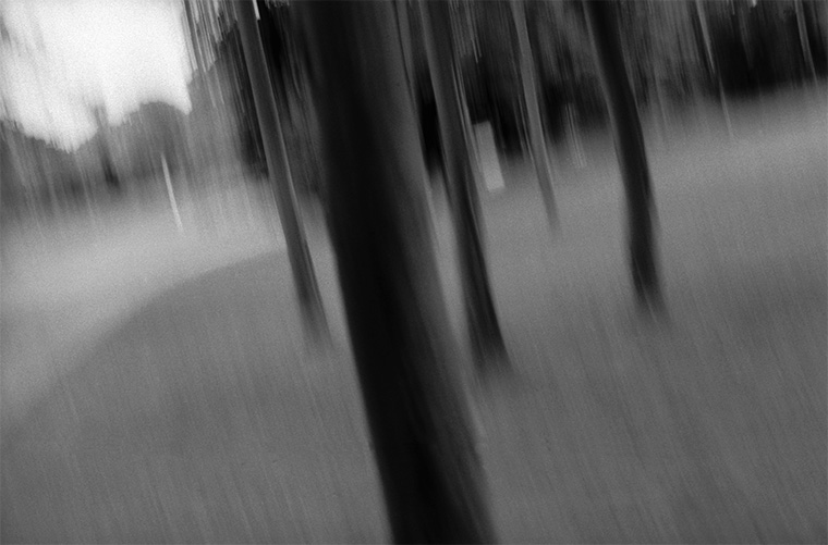 Photographie bougée d'arbres dans le parc de la Malmaison, Rueil-Malmaison, août 1987
