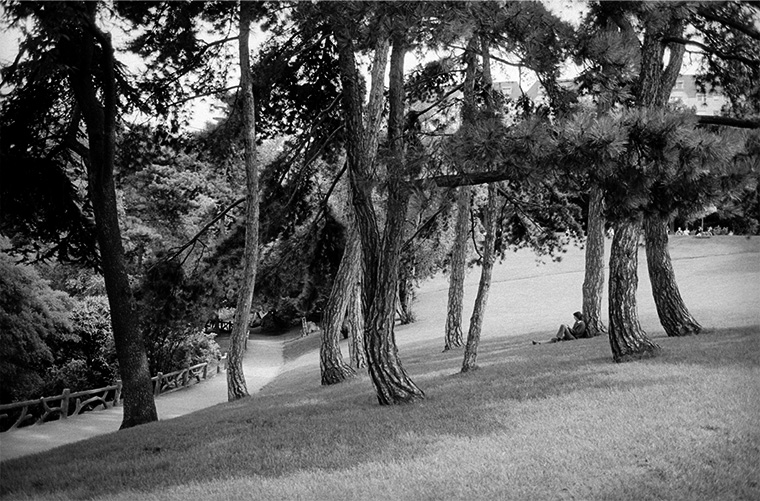 Un un petit coin paisible, une personne seule assise au dos d'un arbre, Paris, les buttes Chaumont, septembre 1987