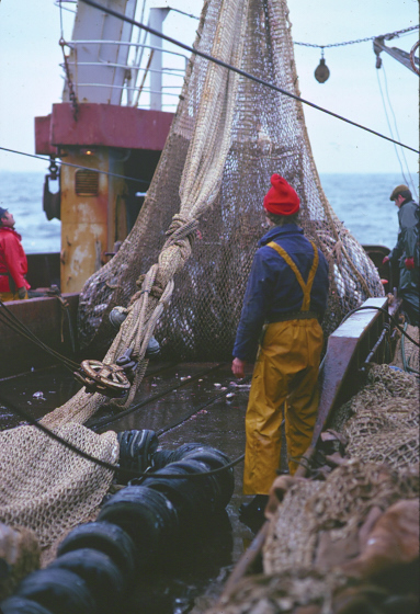 Photos en mer du Nord