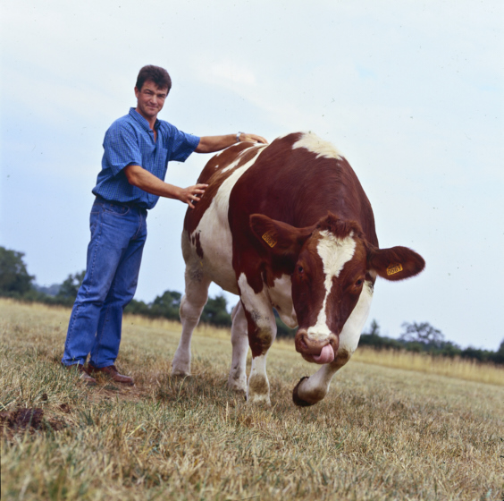 Portrait éleveur de bovins